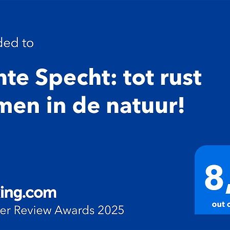 Bonte Specht: Tot Rust Komen In De Natuur! Otterlo Kültér fotó