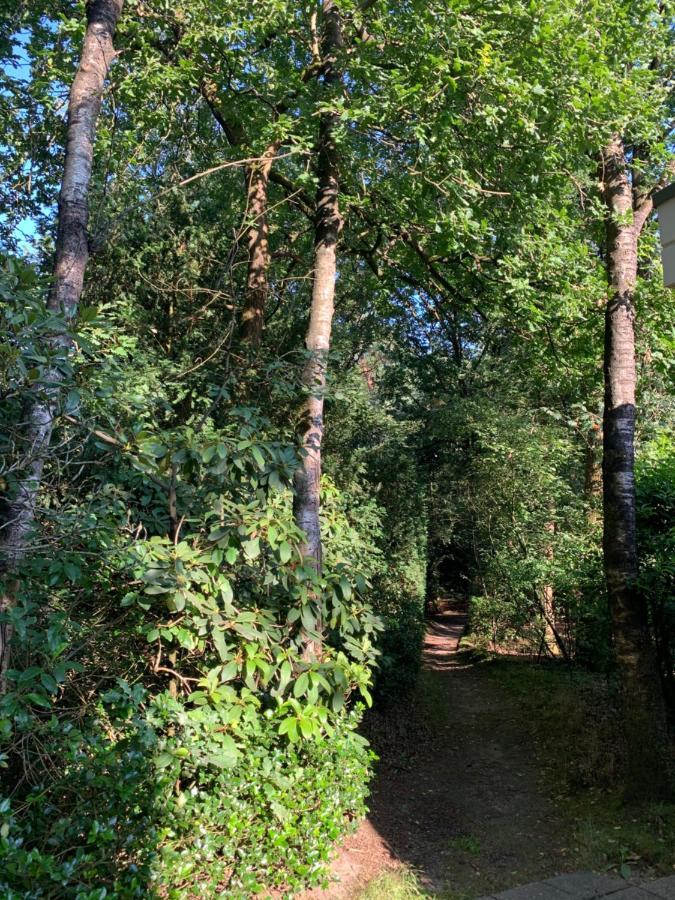 Bonte Specht: Tot Rust Komen In De Natuur! Otterlo Kültér fotó