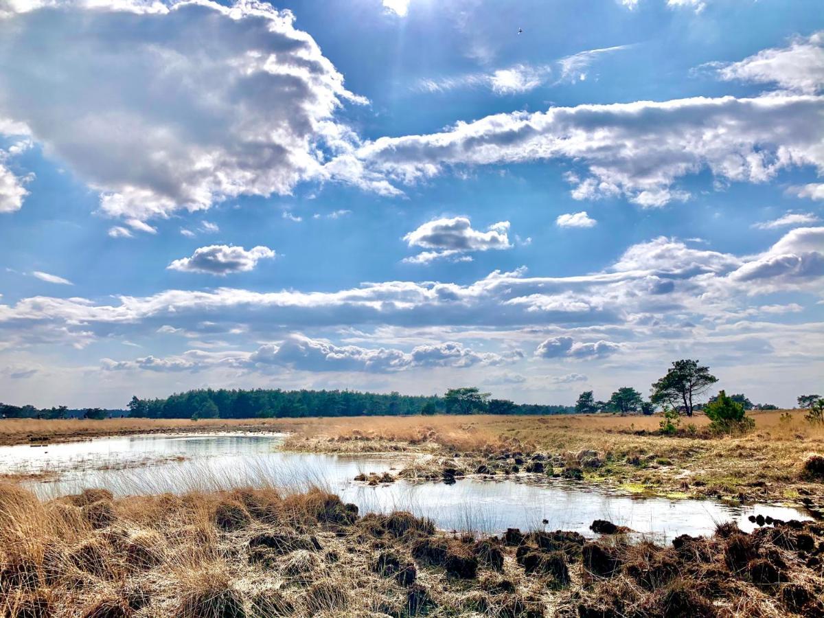 Bonte Specht: Tot Rust Komen In De Natuur! Otterlo Kültér fotó