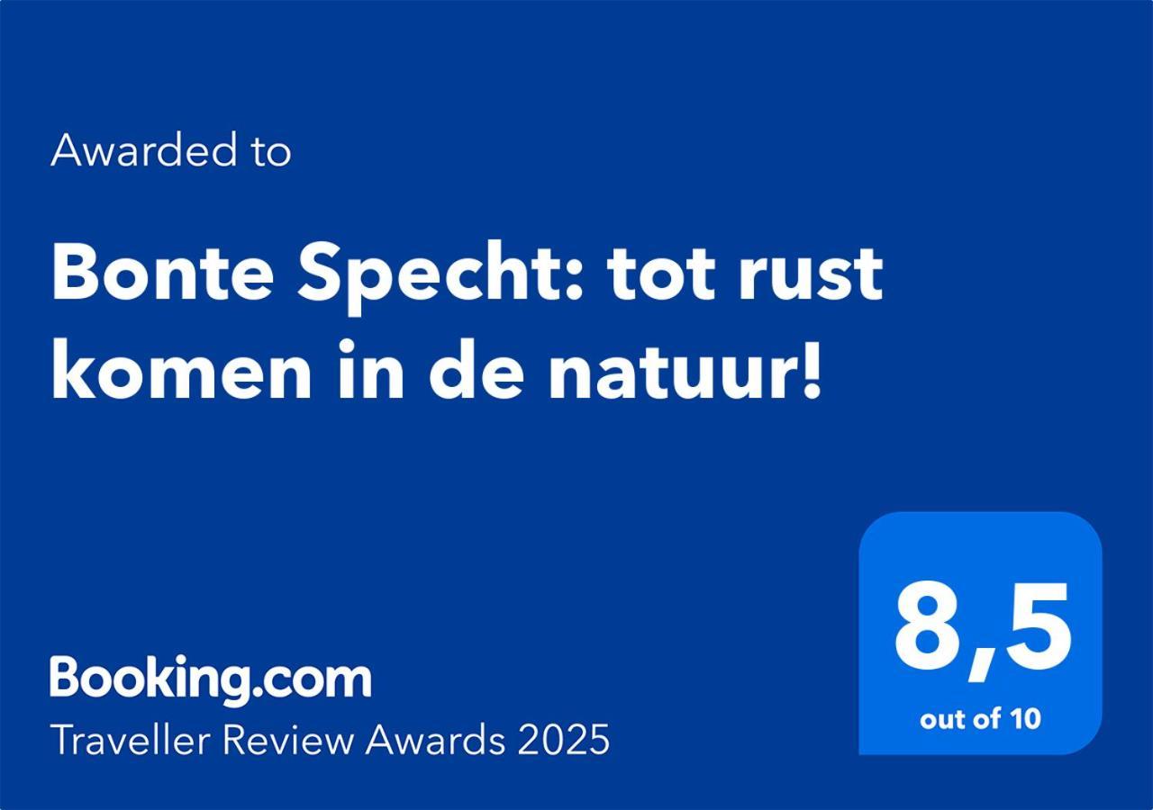 Bonte Specht: Tot Rust Komen In De Natuur! Otterlo Kültér fotó